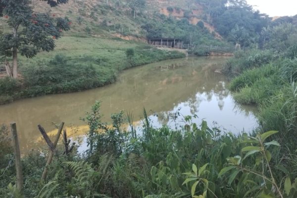 Fazenda 20 Hectares 60 bois Rio Triunfo - Santa Maria de Jetiba ES