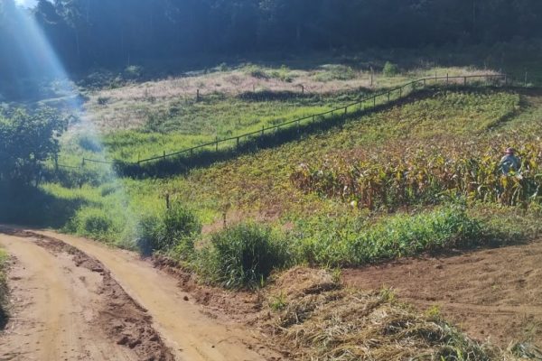 6 Hectares Alto Sta. Maria –  Santa Maria de Jetibá ES